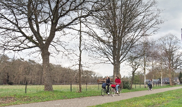 <p>Een projectontwikkelaar wil huizen bouwen in het weiland naast het Revius Lyceum.</p>