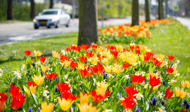Kleurrijk Gorinchem