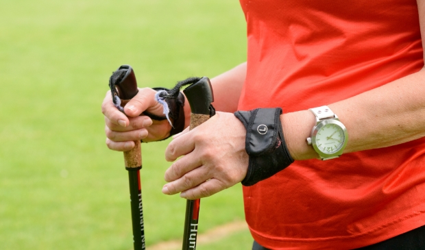 nordic walking