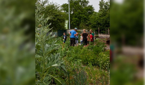 Uitleg over planten