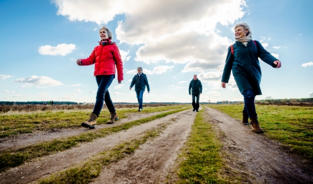 Wandelaars op de Bussumerheide