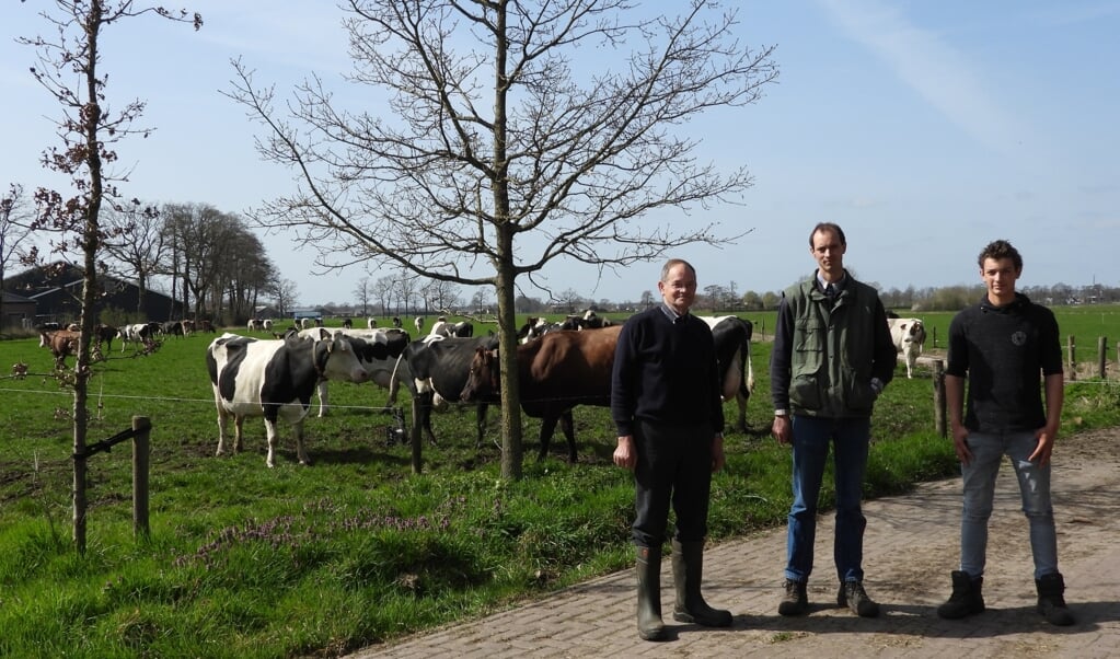 Dirk, Theo en Erik Folmer met achter hen de koeien in de wei. ,,Het werk is leuker geworden.''