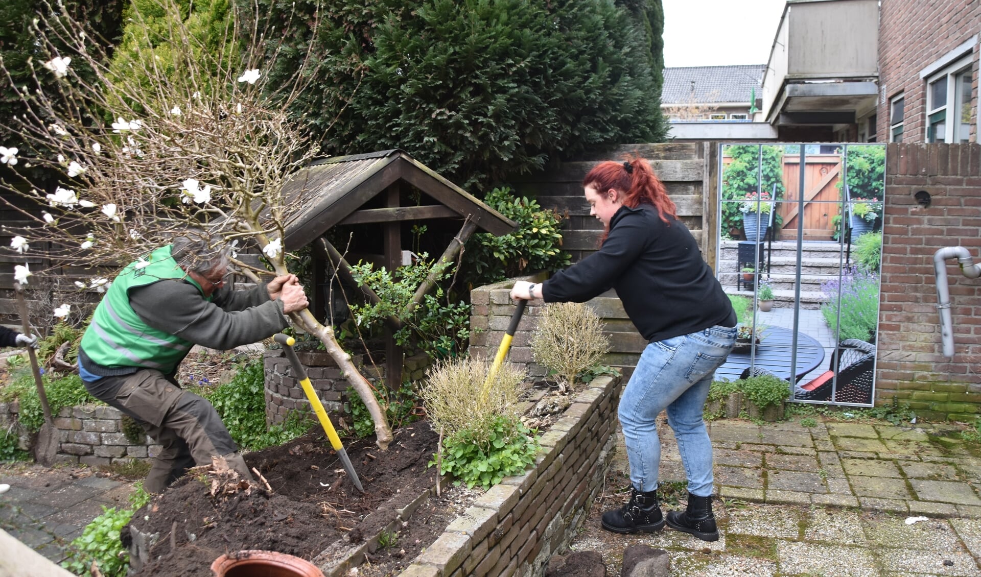 Planten en struiken die nu nog rond de te slopen huizen staan, worden uitgegraven. 