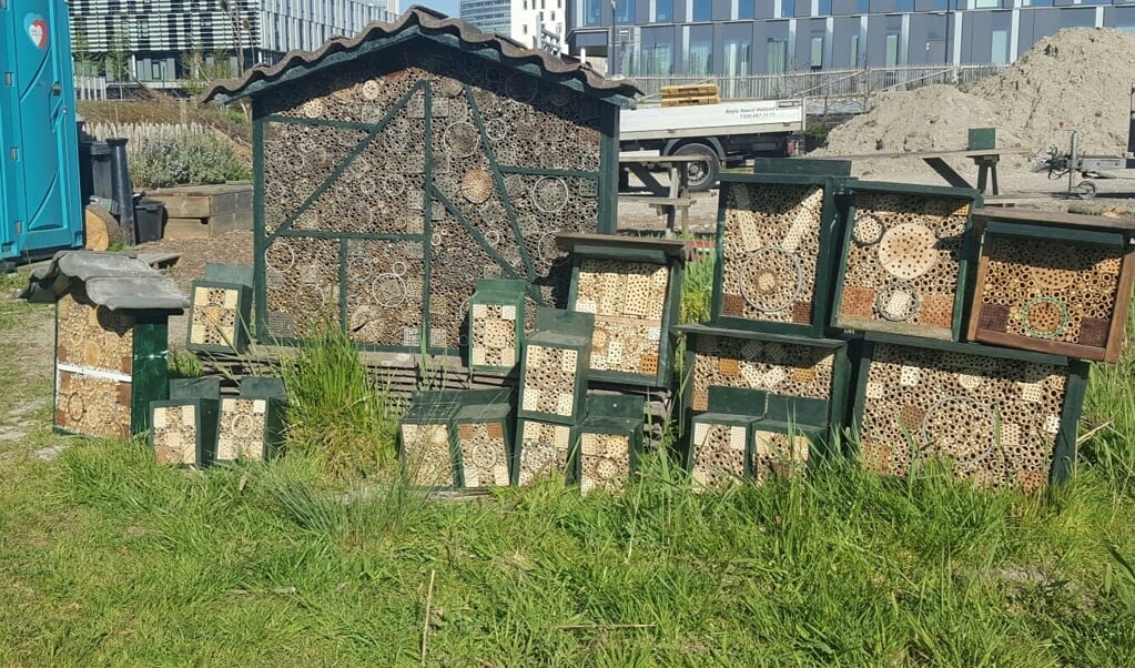 Insectenhotels in Hoofddorp. Ze kunnen een plek bieden aan bijen die die in holletjes in hout overwinteren.