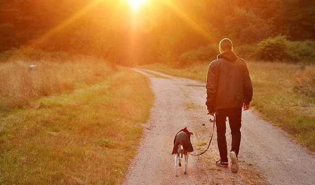 <p>Wandelaar met hond</p>