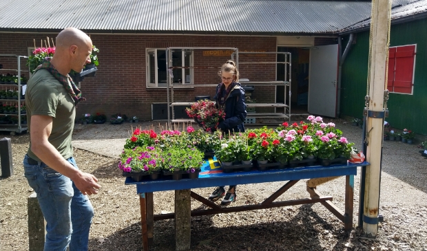 De planten worden klaargezet bij het scoutinggebouw