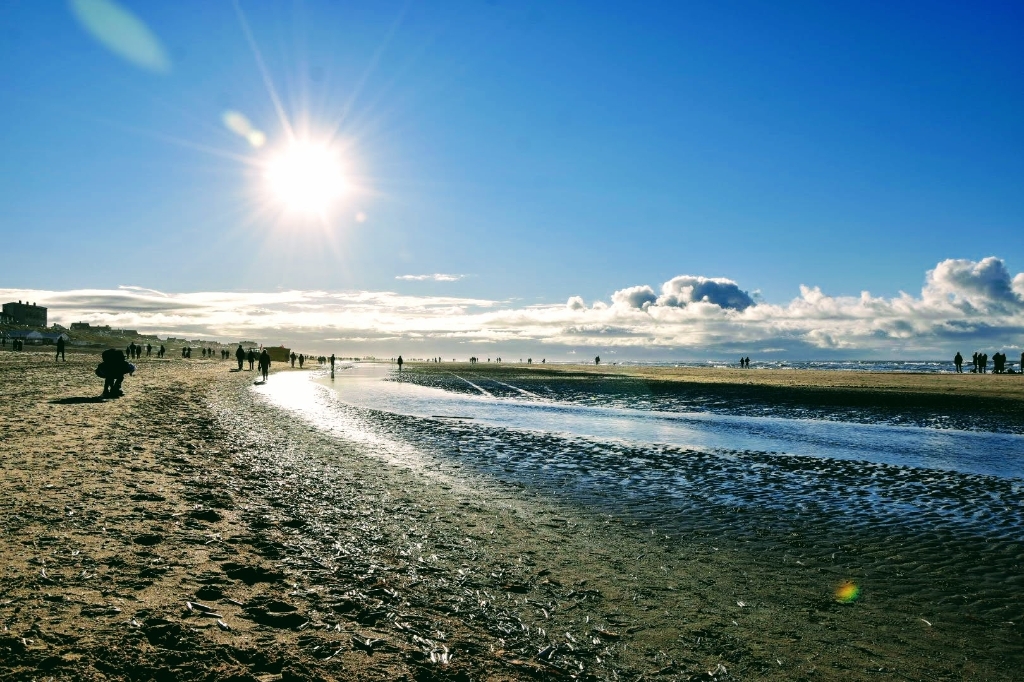 <p>Zandvoort is en blijft een populaire reisbestemming.</p>