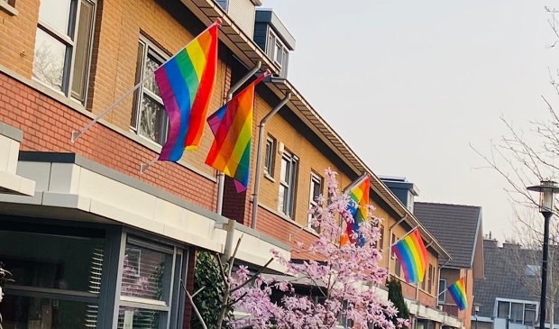 <p>Regenboogvlaggen in de Aagje Dekenlaan in Bovenkerk.</p>