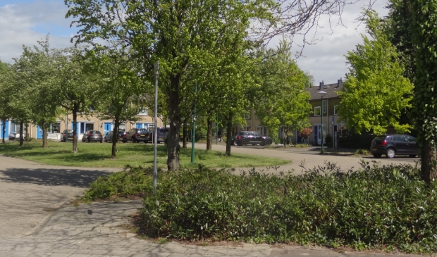 <p>Wie zijn leefomgeving groener maakt, maakt kans op 500 of 1000 euro om aan dit project te besteden.</p>