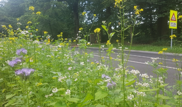 Vrolijkheid langs de weg