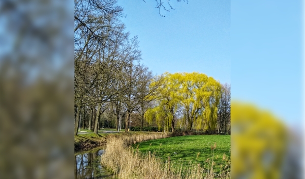 park Schothorst