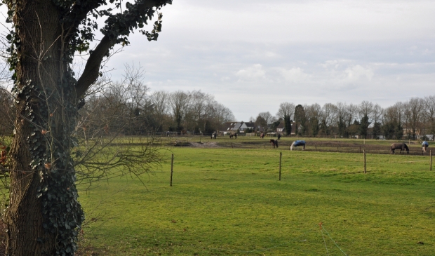 <p>In dit gebied tussen de Koninginnelaan en de Jachthuislaan ziet de gemeente graag woningen verrijzen. De buurt denkt daar heel anders over.</p>