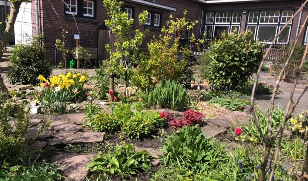 De buurttuin wordt weer groen.