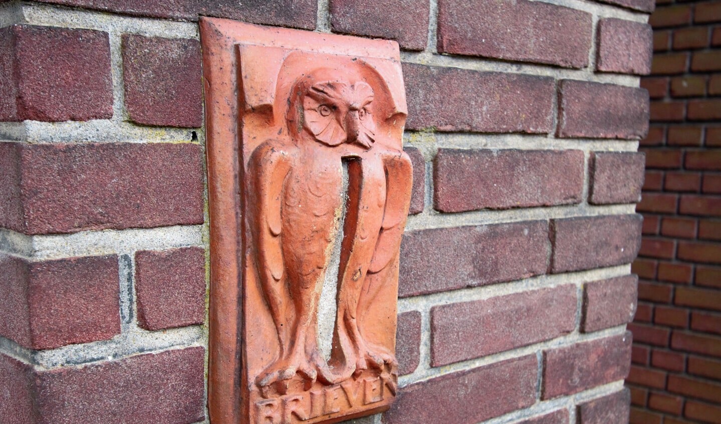 Weet u waar deze uilen hun nest hebben?