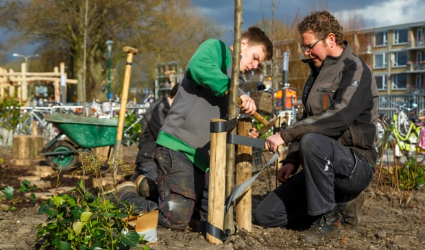 <p>GreentoGrow is een doorsnee groenbedrijf met een sociaal tintje en werkt zowel voor de particulier als zakelijke klant. </p>