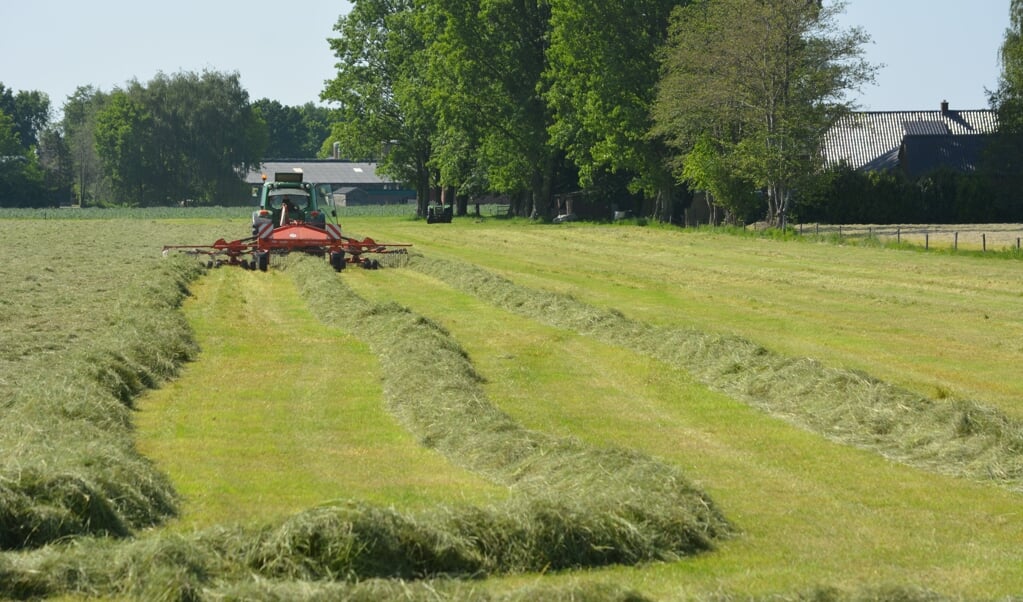 CCA: ,,Stikstofvraagstuk belemmert boeren en bouwers een stap vooruit te maken.''