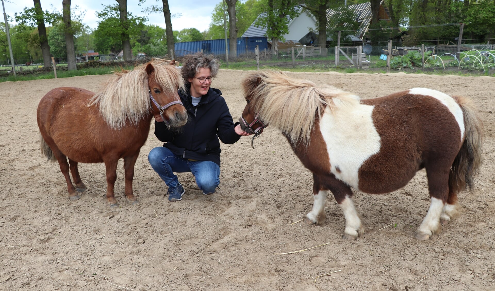 Sieka Bos met twee pony’s die tijdens het onderzoek worden ingezet. 