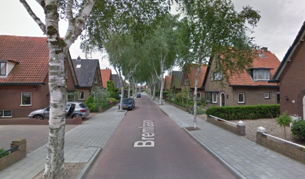 <p>Bewoners van de Bremlaan willen hun woonomgeving een mooie groene invulling geven met behulp van Ede Doet.</p>