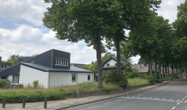 <p>De twee betwiste lindebomen, die zaterdag zijn omgezaagd.</p>