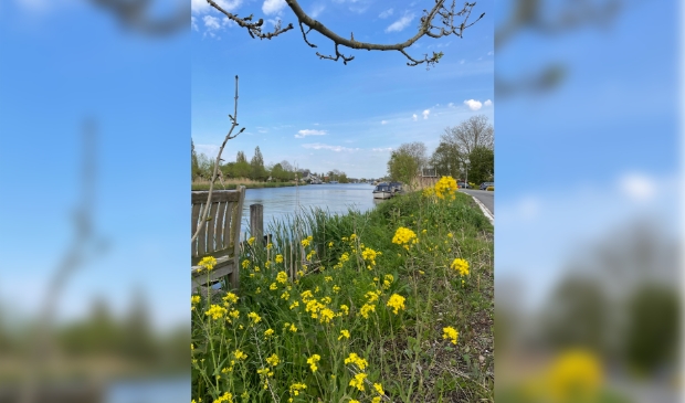 Het zomergevoel aan het water van de Rondehoep Oost op Moederdag