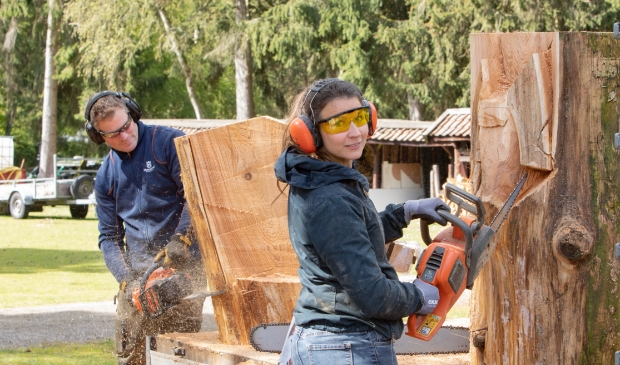 Claartje Boot en Dave Harmsworth druk met zagen van sculpturen uit een boomstam.
De kunstwerken komen op het Midget Golf park in Lage Vuursche te staan.