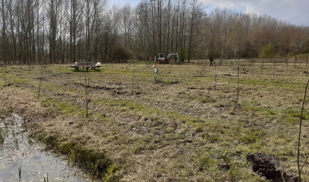 <p>Het geboortebos in Nieuw Wulven is deels herplant</p>