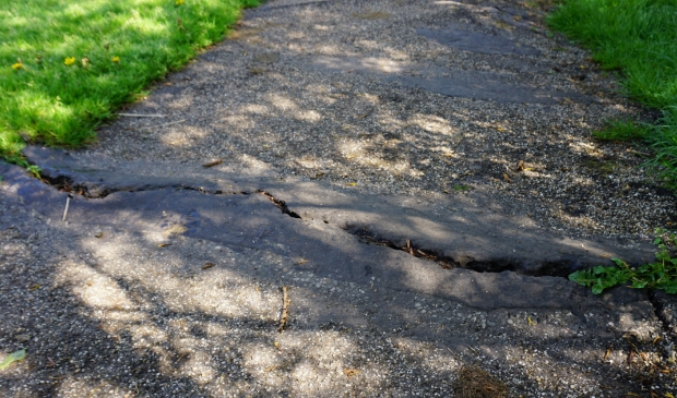 <p>Een van de hobbelige voetpaden in Amstelveen</p>