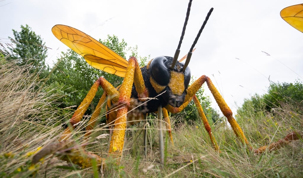 Levensgrote insecten deze zomer in de tuin van paleis Soestdijk. 