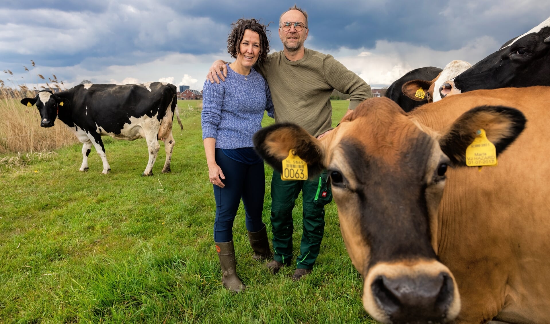 Carola en Jan van Ruiswijk tussen hun koeien met op de achtergrond Veenendaal.
