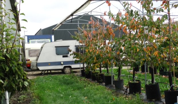 <p>Huisvesting van seizoensarbeiders in caravans (archief BDU)</p>