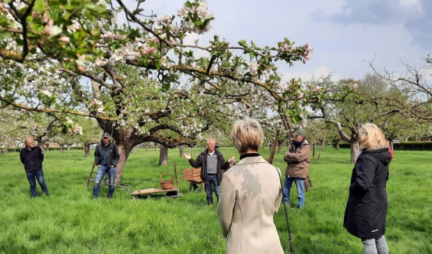Genieten in de bloeiende boomgaard