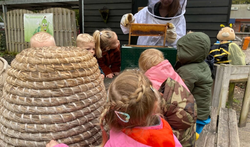 De kinderen kijken en luisteren aandachtig naar de imker die de honingraten uit de bijenkast laat zien.