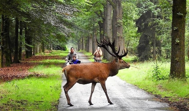 onderweg op de Hoge Veluwe