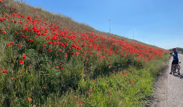 Klaprozen Verlengde Polderweg, Ouderkerk