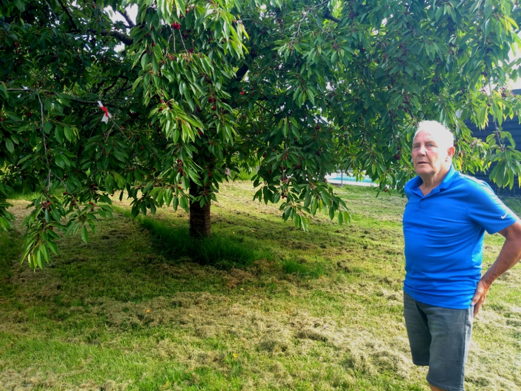 Jaap Dekker in de boomgaard