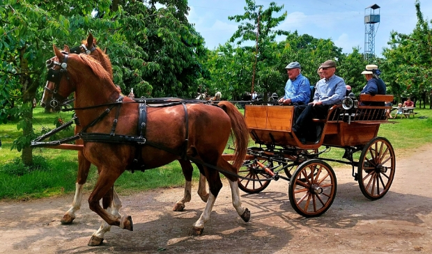 Koets rijden