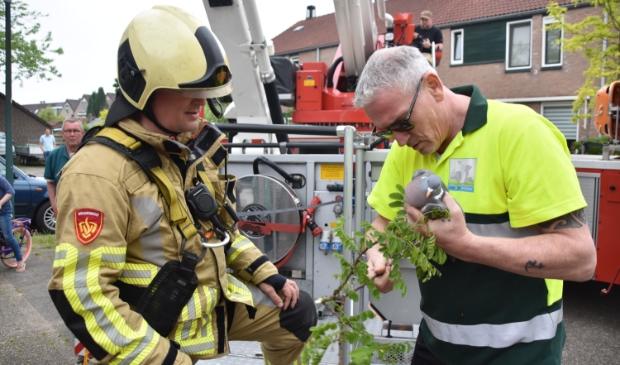 <p>De duif wordt door een brandweerman overgedragen aan de dierenambulance.</p>