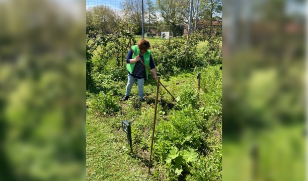 Locatieleider van Waerthove hard aan het werk