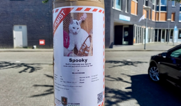 Spooky wordt vermist sinds 15 mei van dit jaar.