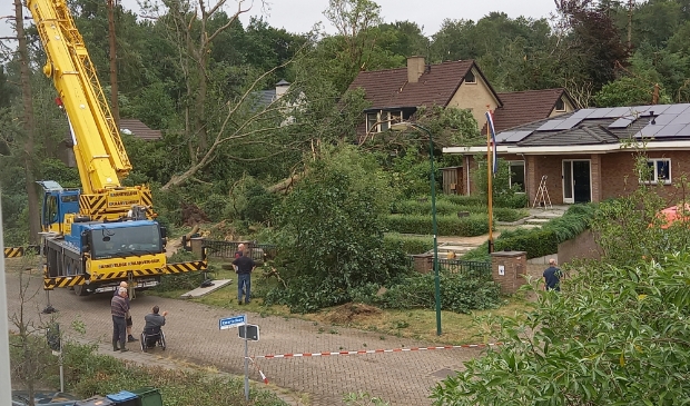 storm in Leersum velt veel bomen