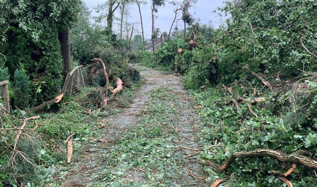 Omgevallen bomen in Leersum