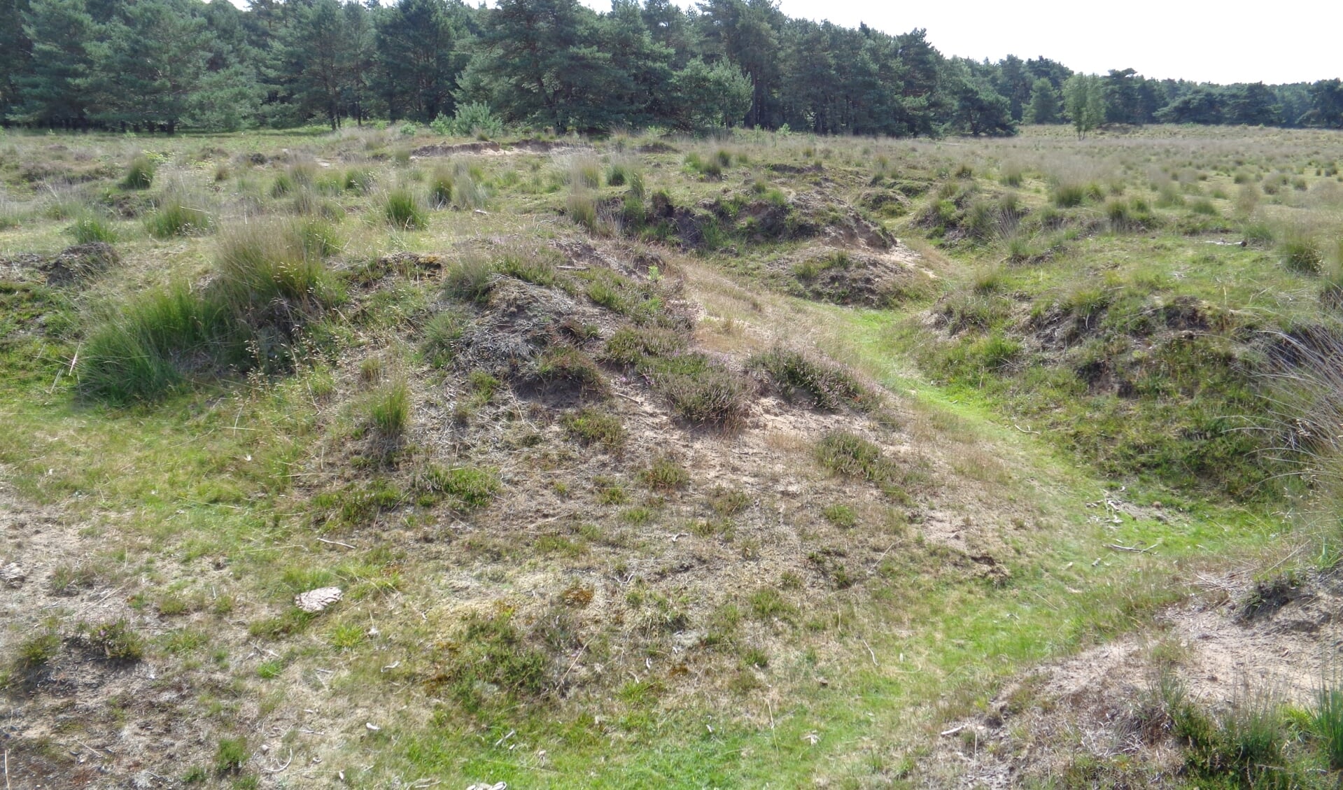 loopgraven Breeveen