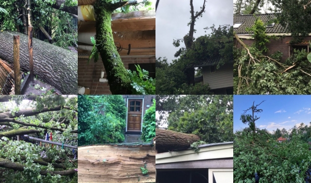 <p>Het huis en de tuin met atelier van Cocky Kok en Atie Stienstra werden zwaar getroffen. </p>