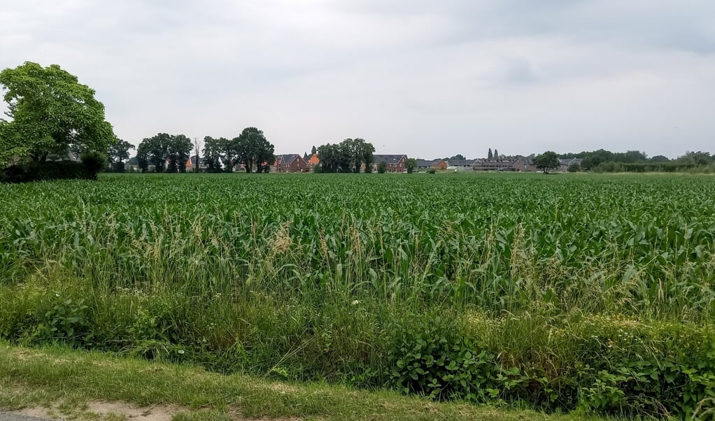 Globaal het nu nog agrarische terrein aan de Oude Zeumerseweg waar de Oranjevereniging naartoe wil. Op de achtergrond woningbouw in de wijk Holzenbosch.