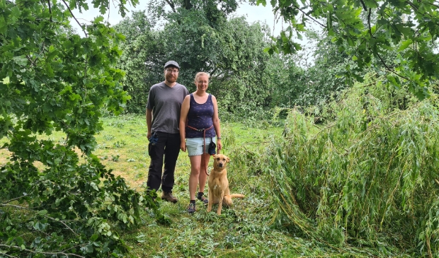 <p>Marlous en Sebastiaan en hun hond Elza in het park bij De Binder waar veel bomen sneuvelden.</p>