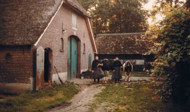 Oogstfeest Putten