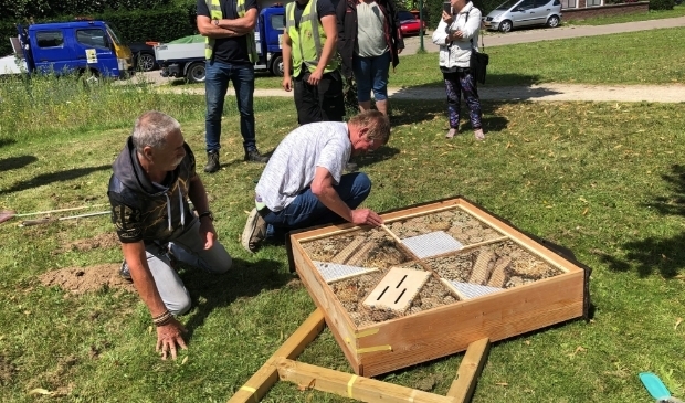 <p>Bij het zonnepark komen insectenhotels</p>
