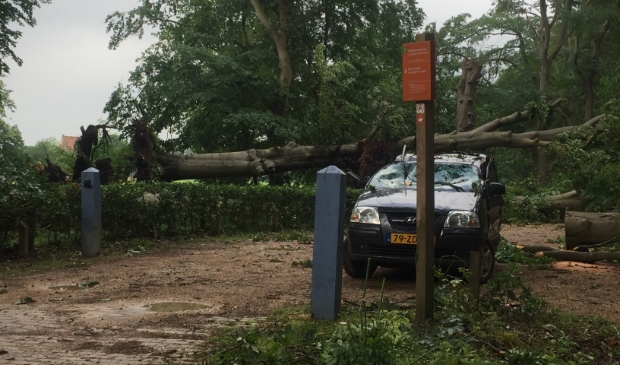 Indrukken Uit Getroffen Leersum Een Lange Heel Erg Slechte Film Nieuwsblad De Kaap Nieuws Uit De Regio Doorn