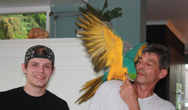 <p>Rocky is weer thuis.</p>