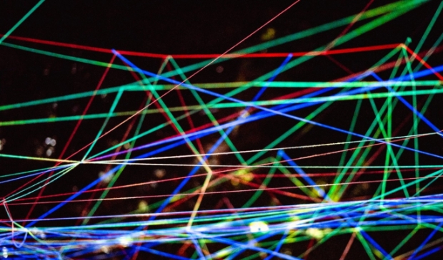<p>A Visual Conspiracy - Wood Wide Web </p>